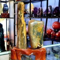Cặp Đôi Gỗ Hóa Thạch Thiên Thiên -  DTBCT0023