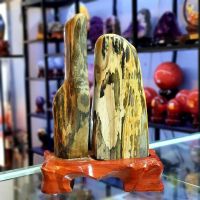 Cặp Đôi Gỗ Hóa Thạch Thiên Nhiên -  DTBCT0024