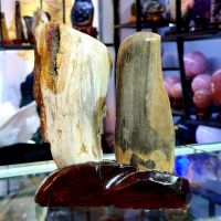 Cặp Đôi Gỗ Hóa Thạch Nhiên Nhiên -  DTBCT0026
