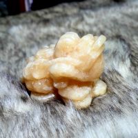 Cóc 3 Chân ( Thiềm Thừ ) Đá Ngọc Hoàng Long  Thiên Nhiên Cho Gia Chủ Mệnh Kim, Thổ - TTCT0005