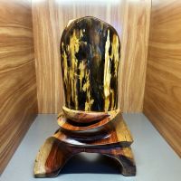 Đá cảnh gỗ hóa thạch thiên nhiên trưng bầy phong thủy - GHT1221